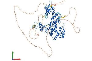 AlphaFold protein structure predicition of Mouse Recombinant Chfr Protein, UniprotID Q810L3 (CHFR Protein (AA 1-664) (His tag))