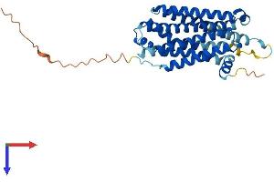 MC3R Protein (AA 1-323) (His tag)