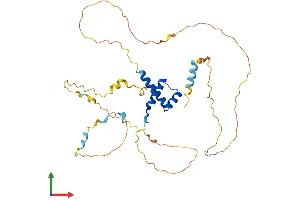 AlphaFold protein structure predicition of Human Recombinant HOXB2 Protein, UniprotID P14652