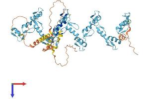 AlphaFold protein structure predicition of Human Recombinant ZNF221 Protein, UniprotID Q9UK13