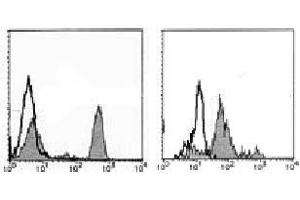 Flow Cytometry (FACS) image for anti-CD4 (CD4) antibody (ABIN1106337) (CD4 antibody)