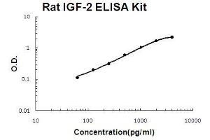 Rat IGF-2 PicoKine ELISA Kit standard curve
