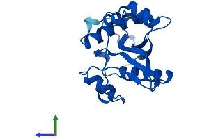 AlphaFold protein structure predicition of Mouse Recombinant Sat1 Protein, UniprotID P48026 (SAT1 Protein (AA 1-171) (His tag))