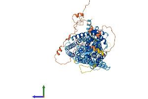 AlphaFold protein structure predicition of Human Recombinant CLCN6 Protein, UniprotID P51797