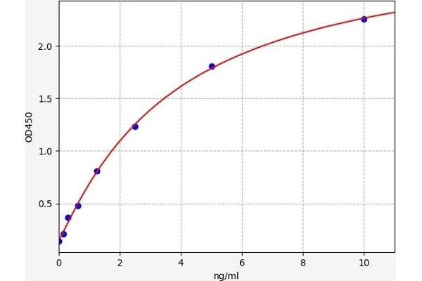 ILVBL ELISA Kit