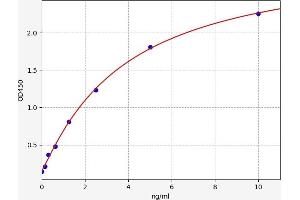 Typical standard curve (ILVBL ELISA Kit)