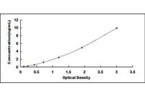 Typical standard curve (KRT12 ELISA Kit)