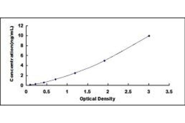 KRT12 ELISA Kit
