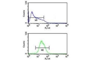 ATF7 antibody flow cytometric analysis of HL-60 cells (bottom histogram) compared to a negative control (top histogram). (ATF7 antibody  (AA 68-96))