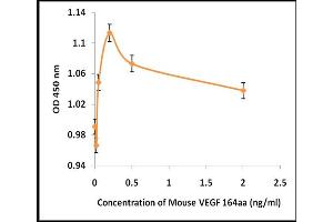 Activity Assay (AcA) image for Vascular Endothelial Growth Factor (VEGF) (Active) protein (ABIN5509471) (VEGF Protein)