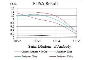 Black line: Control Antigen (100 ng), Purple line: Antigen(10 ng), Blue line: Antigen (50 ng), Red line: Antigen (100 ng), (NPC1 antibody  (AA 34-174))