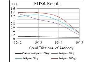 Black line: Control Antigen (100 ng), Purple line: Antigen(10 ng), Blue line: Antigen (50 ng), Red line: Antigen (100 ng),