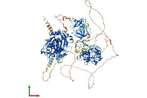 Protein Structure (PS) image for Lysine (K)-Specific Demethylase 4C (KDM4C) (AA 1-1054) protein (His tag) (ABIN7564729)