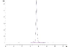 The purity of Human CD117 is greater than 95 % as determined by SEC-HPLC. (CD177 Protein (AA 26-516) (His tag))