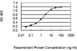 Detection limit for recombinant GST tagged LGALS7 is 0. (LGALS7 antibody  (AA 1-136))