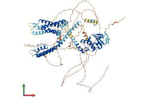 AlphaFold protein structure predicition of Mouse Recombinant Kcnb1 Protein, UniprotID Q03717 (Kv2.1/KCNB1 Protein (AA 1-857) (His tag))