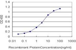 Detection limit for recombinant GST tagged TSSK1 is approximately 0. (TSSK1B antibody  (AA 267-367))