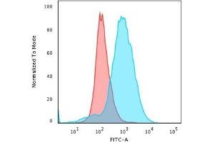 Flow Cytometric Analysis of paraformaldehyde-fixed Jurkat cells using CD28 Mouse Monoclonal Antibody (CB28) followed by goat anti-Mouse IgG-CF488 (Blue); Isotype control (Red). (CD28 antibody)
