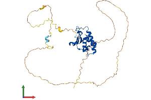 AlphaFold protein structure predicition of Human Recombinant TOB2 Protein, UniprotID Q14106