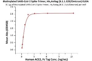 Immobilized Biotinylated SARS-CoV-2 Spike Trimer, His,Avitag™ (B. (SARS-CoV-2 Spike Protein (B.1.1.529 - Omicron, Trimer) (His-Avi Tag,Biotin))