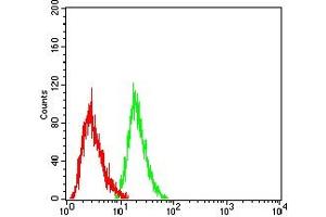Flow cytometric analysis of THP-1 cells using CDX2 mouse mAb (green) and negative control (red).