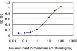 Detection limit for recombinant GST tagged ERH is approximately 0. (ERH antibody  (AA 1-104))
