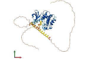 Protein Structure (PS) image for Calcium/calmodulin-Dependent Protein Kinase IV (CAMK4) (AA 1-469) protein (His tag) (ABIN7562761)