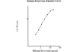 Recoverin ELISA Kit