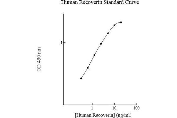 Recoverin ELISA Kit