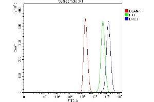 Flow Cytometry analysis of 293T cells using anti-BRD3 antibody (ABIN7603025).