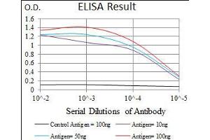 Black line: Control Antigen (100 ng), Purple line: Antigen(10 ng), Blue line: Antigen (50 ng), Red line: Antigen (100 ng), (RPL18A antibody  (AA 50-176))