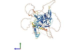 AlphaFold protein structure predicition of Human Recombinant SETDB2 Protein, UniprotID Q96T68