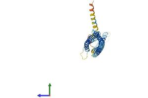 AlphaFold protein structure predicition of Human Recombinant GPM6A Protein, UniprotID P51674