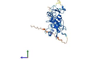 AlphaFold protein structure predicition of Mouse Recombinant Phf7 Protein, UniprotID Q9DAG9 (PHF7 Protein (AA 1-307) (His tag))