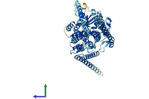 AlphaFold protein structure predicition of Mouse Recombinant Ano10 Protein, UniprotID Q8BH79