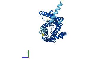 AlphaFold protein structure predicition of Human Recombinant OR6C3 Protein, UniprotID Q9NZP0 (OR6C3 Protein (AA 1-311) (His tag))