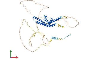 AlphaFold protein structure predicition of Mouse Recombinant Srfbp1 Protein, UniprotID Q9CZ91 (SRFBP1 Protein (AA 1-441) (His tag))
