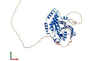 AlphaFold protein structure predicition of Mouse Recombinant Ptpn20 Protein, UniprotID O55082