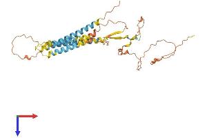 Transmembrane Protein 171 (TMEM171) (AA 1-322) protein (His tag)