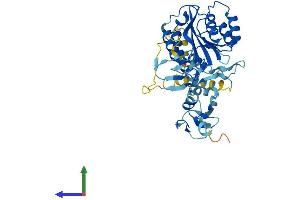 Protein Structure (PS) image for General Transcription Factor IIH, Polypeptide 2C (GTF2H2C) (AA 1-395) protein (His tag) (ABIN7544288)