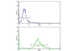 Flow Cytometry (FACS) image for anti-phosphoglycerate Dehydrogenase (PHGDH) (AA 140-168) antibody (ABIN3032221)
