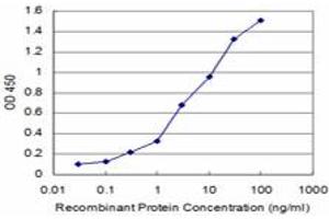 Detection limit for recombinant GST tagged KHSRP is approximately 0. (KHSRP antibody  (AA 151-239))