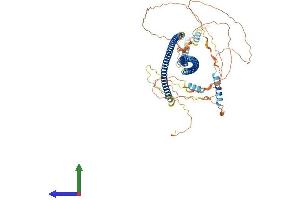 AlphaFold protein structure predicition of Mouse Recombinant Bfsp1 Protein, UniprotID A2AMT1