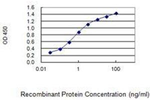 Detection limit for recombinant GST tagged NFAT5 is 0. (NFAT5 antibody  (AA 1422-1531))