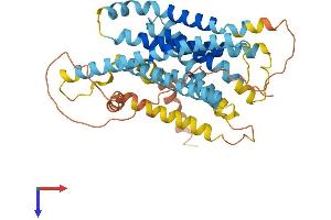AlphaFold protein structure predicition of Human Recombinant VN1R2 Protein, UniprotID Q8NFZ6 (VN1R2 Protein (AA 1-395) (His tag))