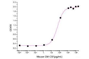 ELISA image for Colony Stimulating Factor 2 (Granulocyte-Macrophage) (CSF2) (Active) protein (ABIN7320537) (GM-CSF Protein)