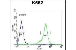 TEX13B Antibody (C-term) (ABIN654849 and ABIN2844514) flow cytometric analysis of K562 cells (right histogram) compared to a negative control cell (left histogram).