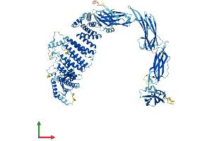 Protein Structure (PS) image for Trafficking Protein Particle Complex 11 (TRAPPC11) (AA 1-1133) protein (His tag) (ABIN7562064)