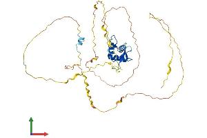 Protein Structure (PS) image for Forkhead Box Q1 (FOXQ1) (AA 1-403) protein (His tag) (ABIN7547688)