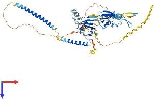 UBXN11 Protein (AA 1-520) (His tag)